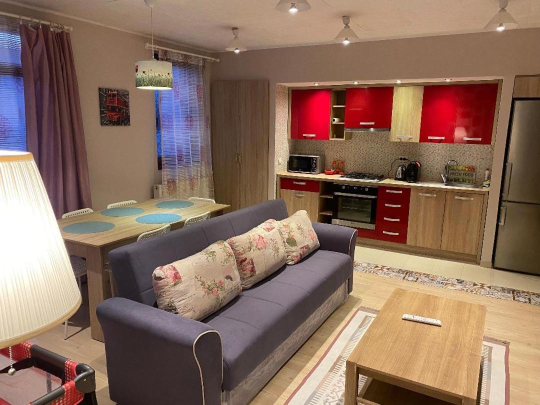 Igi Red Flat With Free Private Parking Apartment Cluj-Napoca Exterior photo